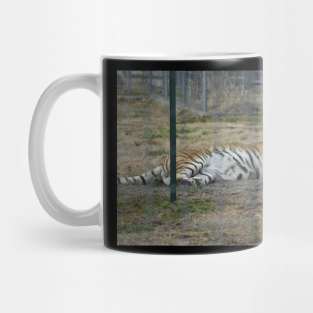 Tiger Mug